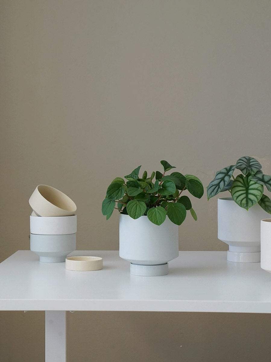 Ceramic Planter With Tray