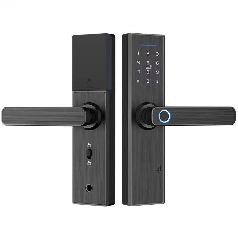 Electronic Smart Door Lock