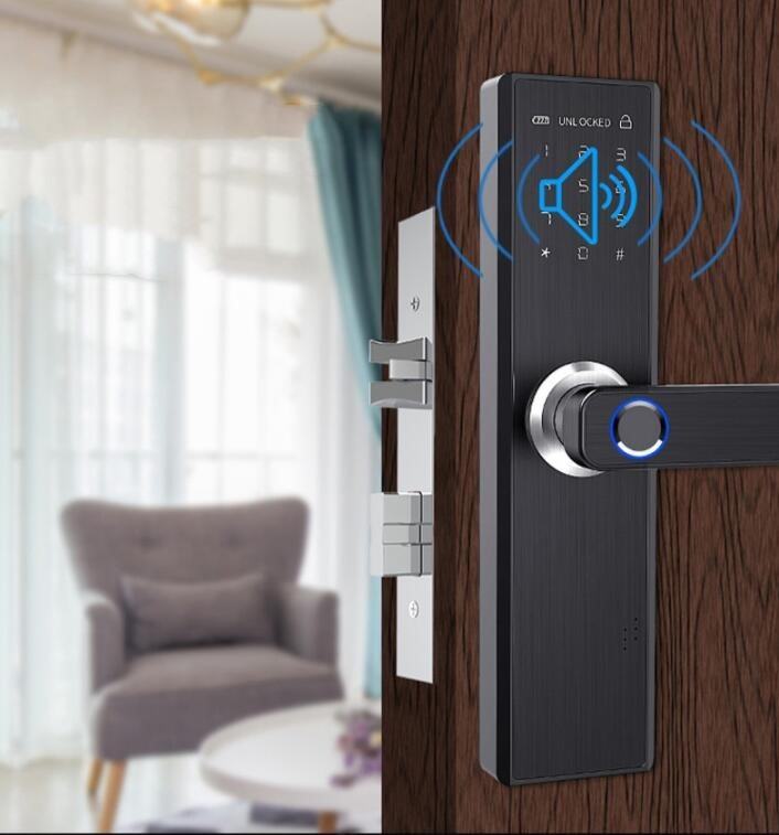 Electronic Smart Door Lock