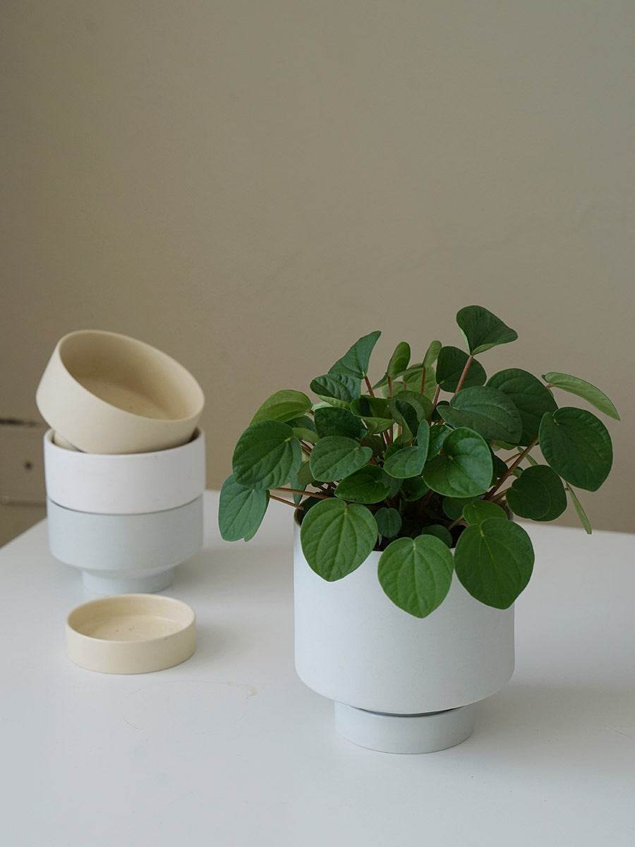 Ceramic Planter With Tray