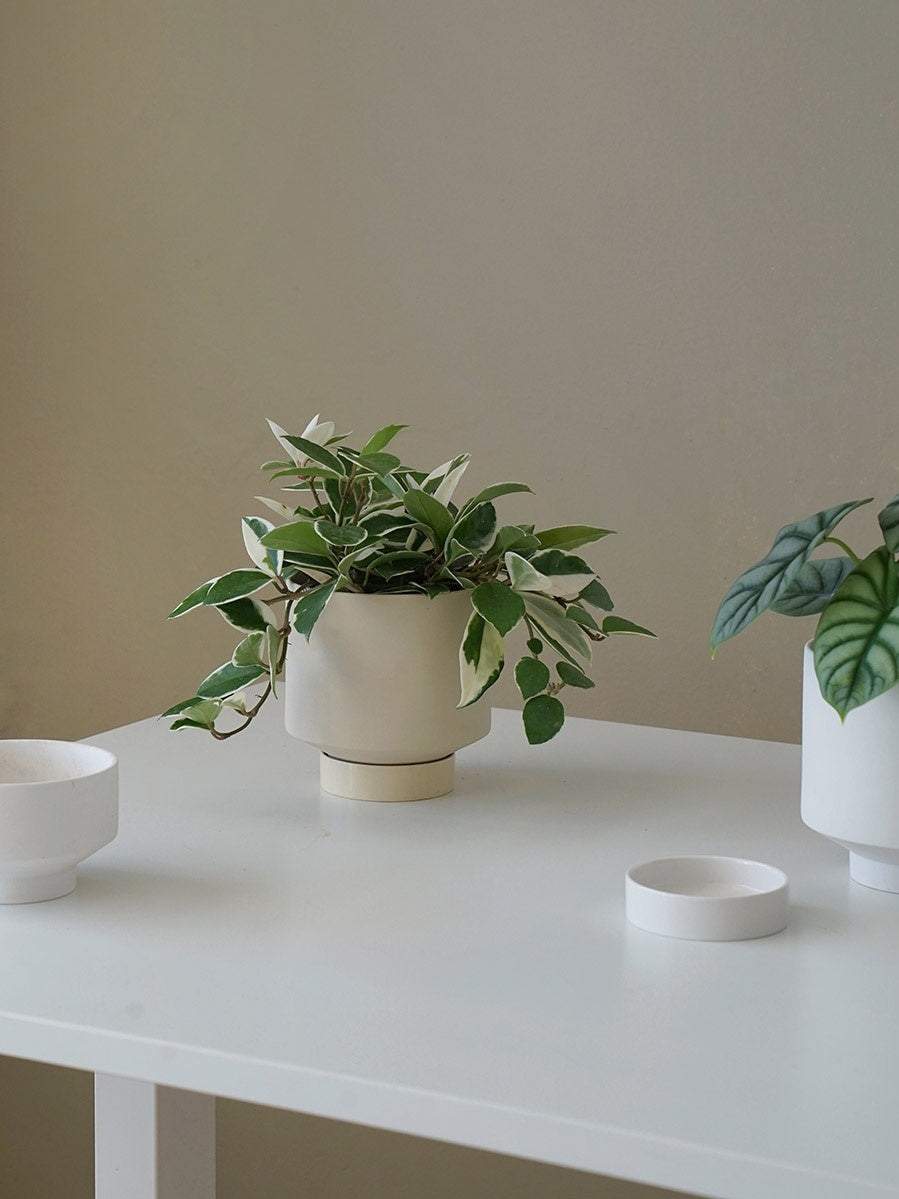 Ceramic Planter With Tray