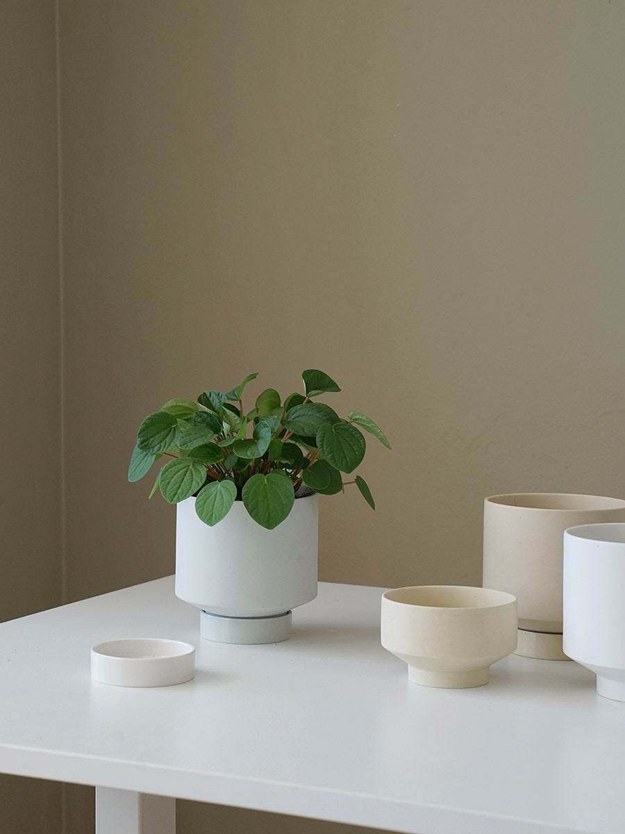 Ceramic Planter With Tray